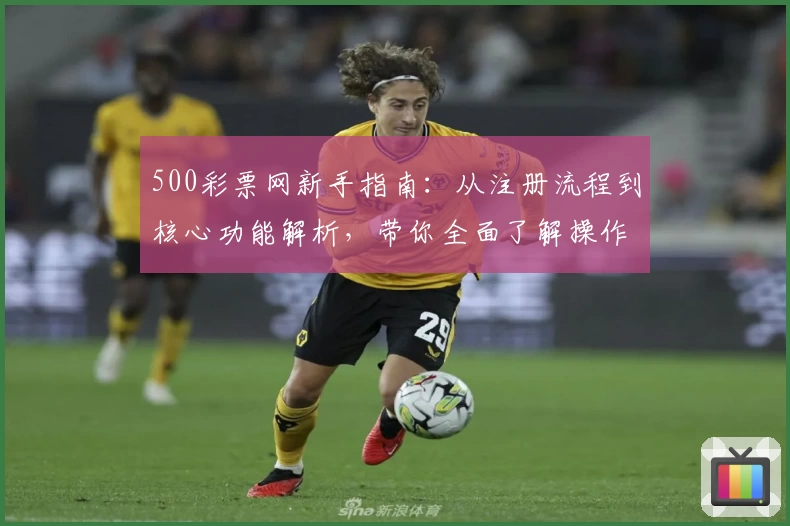 500彩票网新手指南：从注册流程到核心功能解析，带你全面了解操作体验